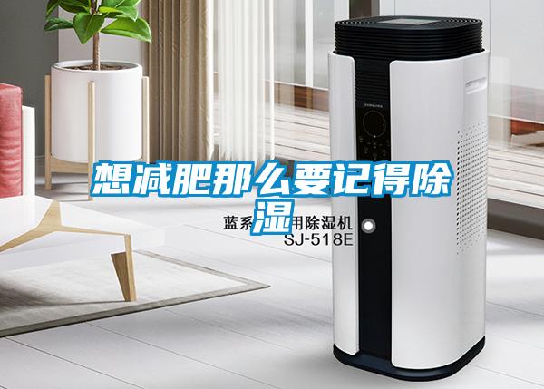 想減肥那么要記得除濕