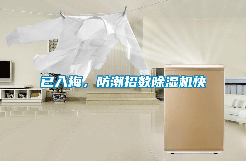 已入梅，防潮招數(shù)除濕機快