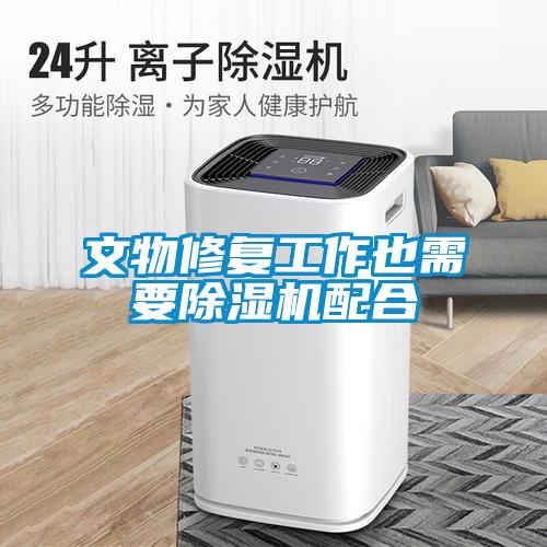 文物修復(fù)工作也需要除濕機(jī)配合