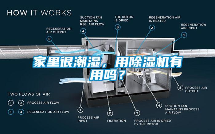 家里很潮濕，用除濕機有用嗎？