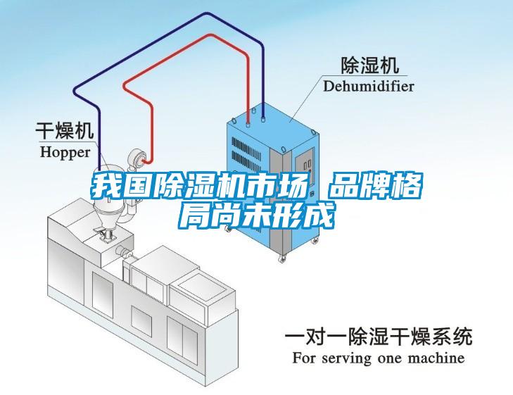 我國除濕機(jī)市場(chǎng) 品牌格局尚未形成