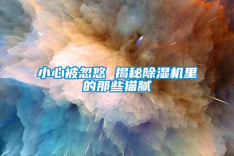 小心被忽悠 揭秘除濕機里的那些貓膩