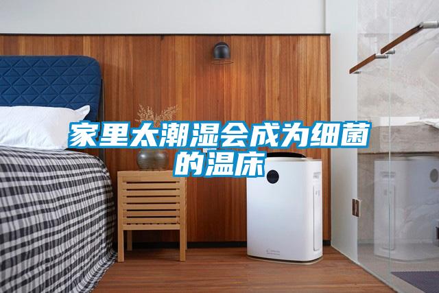 家里太潮濕會成為細菌的溫床