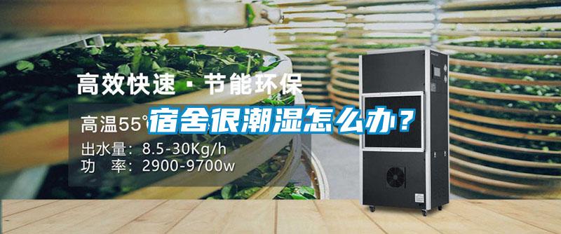 宿舍很潮濕怎么辦？