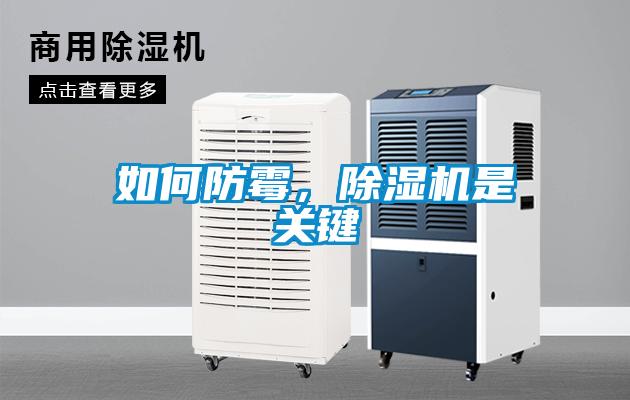 如何防霉，除濕機是關鍵