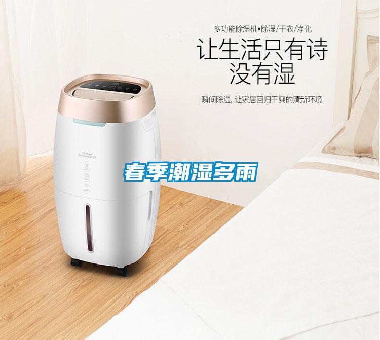 春季潮濕多雨