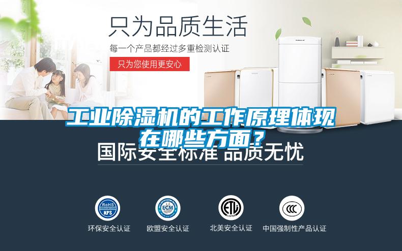 工業(yè)除濕機(jī)的工作原理體現(xiàn)在哪些方面？