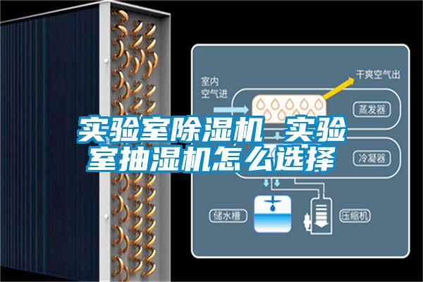 實驗室除濕機 實驗室抽濕機怎么選擇