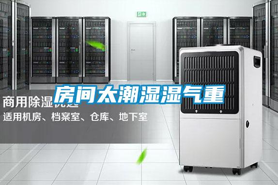 房間太潮濕濕氣重