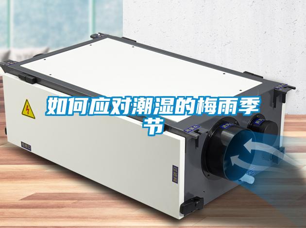 如何應(yīng)對(duì)潮濕的梅雨季節(jié)