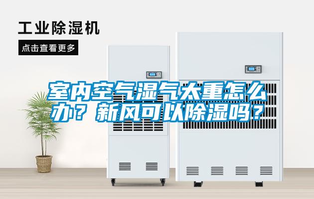 室內空氣濕氣太重怎么辦？新風可以除濕嗎？