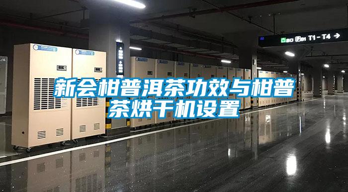 新會柑普洱茶功效與柑普茶烘干機設置
