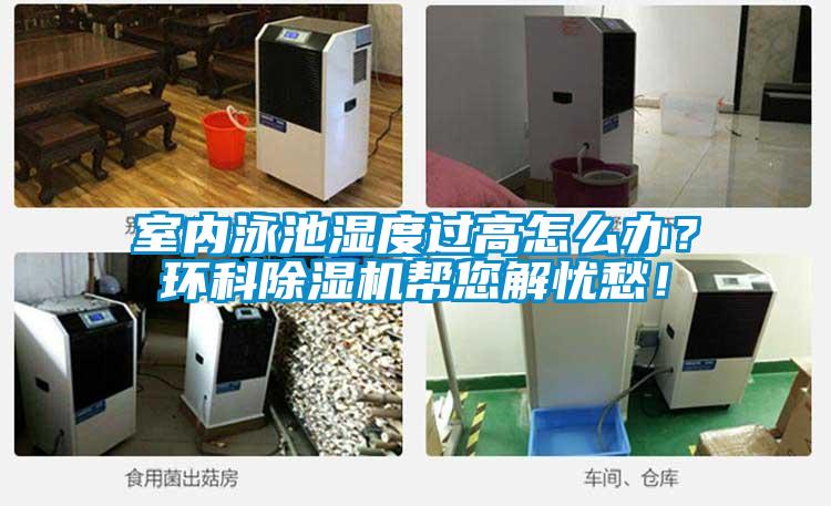 室內(nèi)泳池濕度過高怎么辦？環(huán)科除濕機幫您解憂愁！