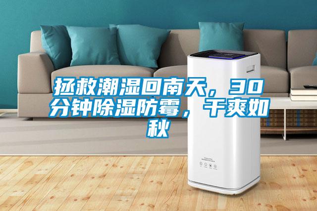 拯救潮濕回南天，30分鐘除濕防霉，干爽如秋
