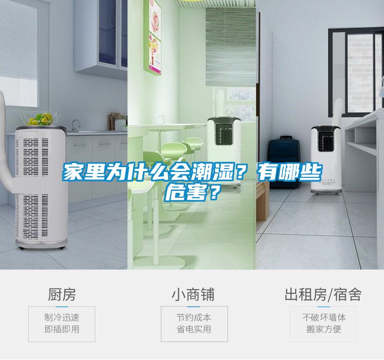 家里為什么會潮濕？有哪些危害？