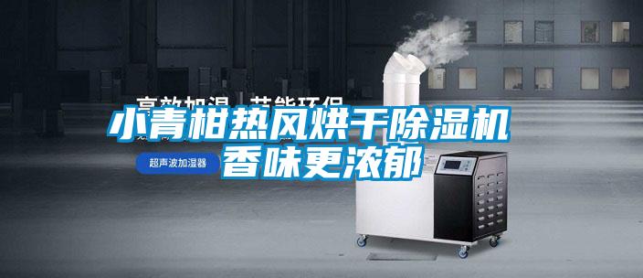 小青柑熱風(fēng)烘干除濕機(jī) 香味更濃郁