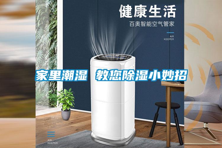 家里潮濕 教您除濕小妙招