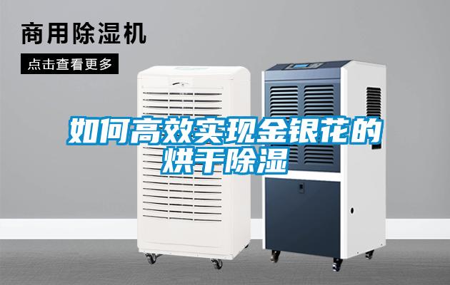如何高效實現金銀花的烘干除濕