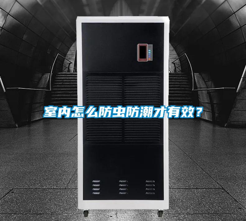 室內(nèi)怎么防蟲防潮才有效？