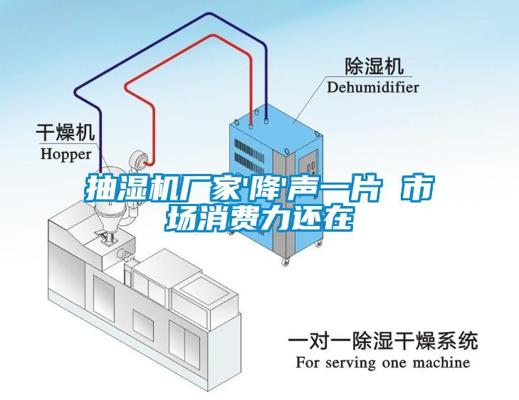 抽濕機(jī)廠家'降'聲一片 市場(chǎng)消費(fèi)力還在