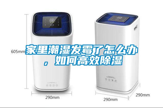 家里潮濕發霉了怎么辦，如何高效除濕