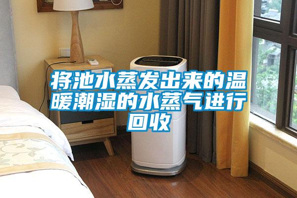 將池水蒸發出來的溫暖潮濕的水蒸氣進行回收