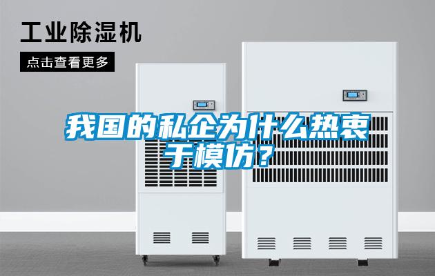 我國的私企為什么熱衷于模仿？