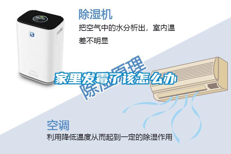 家里發霉了該怎么辦