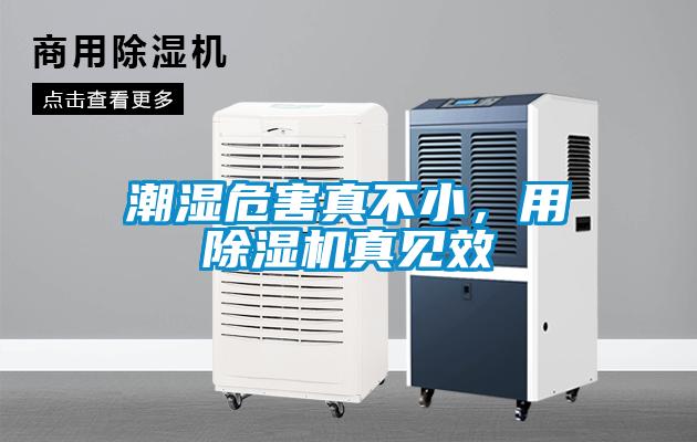 潮濕危害真不小，用除濕機真見效