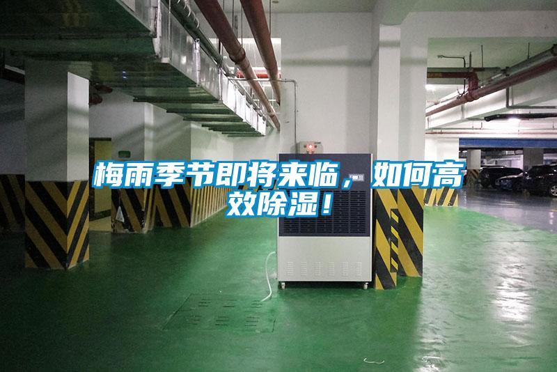 梅雨季節(jié)即將來(lái)臨，如何高效除濕！