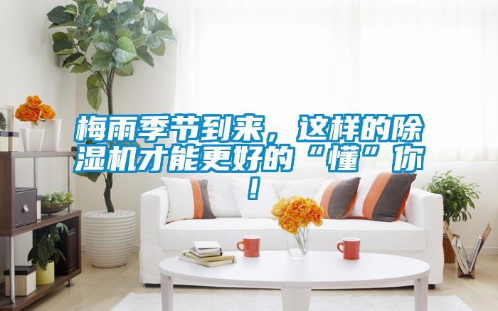 梅雨季節到來，這樣的除濕機才能更好的“懂”你！
