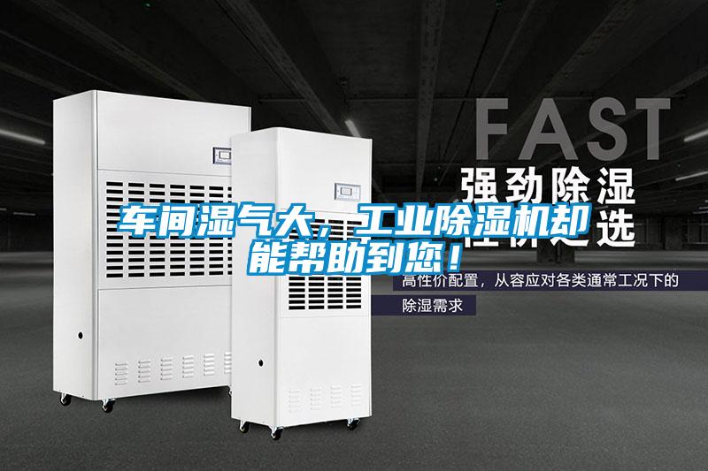 車間濕氣大，工業除濕機卻能幫助到您！