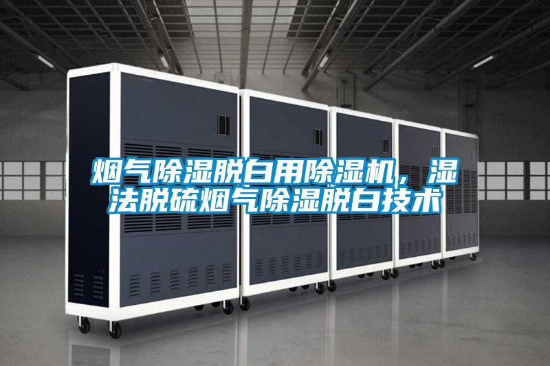 煙氣除濕脫白用除濕機，濕法脫硫煙氣除濕脫白技術