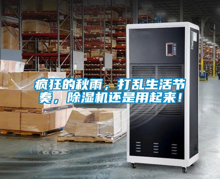 瘋狂的秋雨，打亂生活節(jié)奏，除濕機(jī)還是用起來！