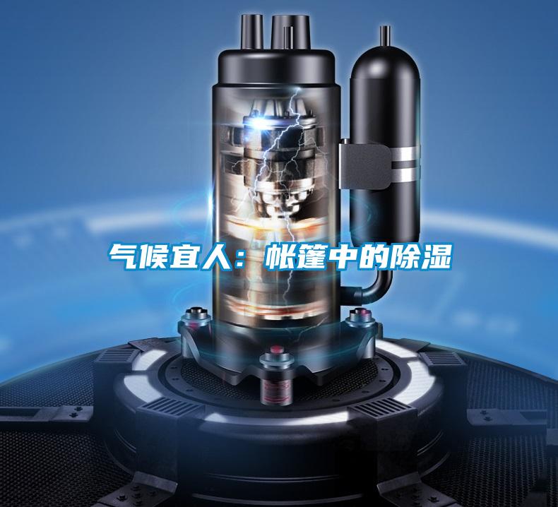 氣候宜人:帳篷中的除濕