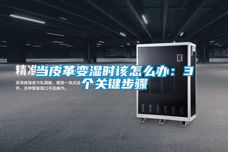 當皮革變濕時該怎么辦：3個關鍵步驟