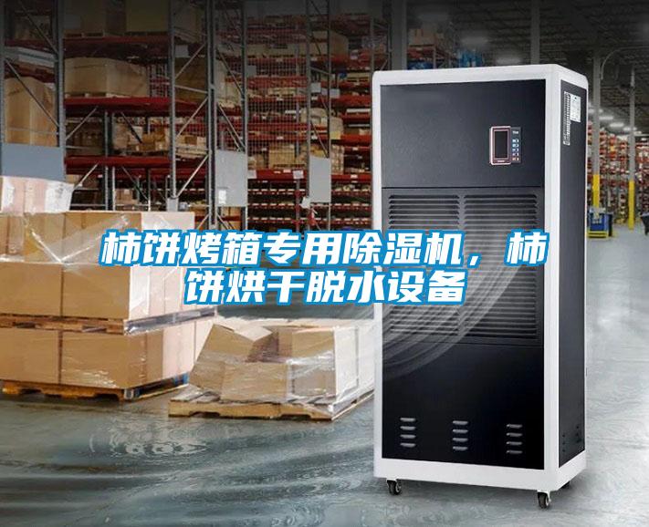 柿餅烤箱專用除濕機,柿餅烘干脫水設備