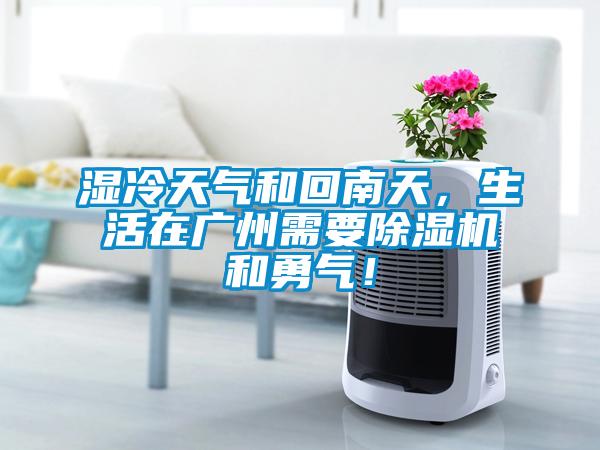 濕冷天氣和回南天，生活在廣州需要除濕機和勇氣！