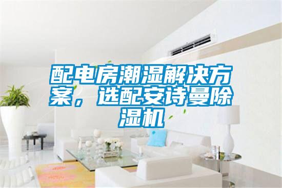 配電房潮濕解決方案，選配安詩(shī)曼除濕機(jī)