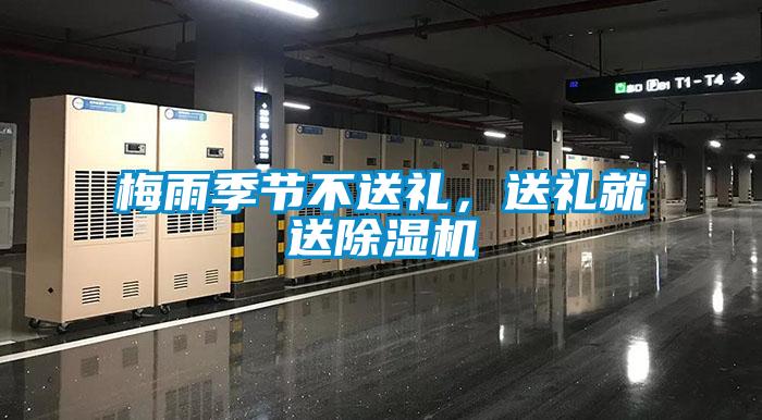 梅雨季節不送禮，送禮就送除濕機