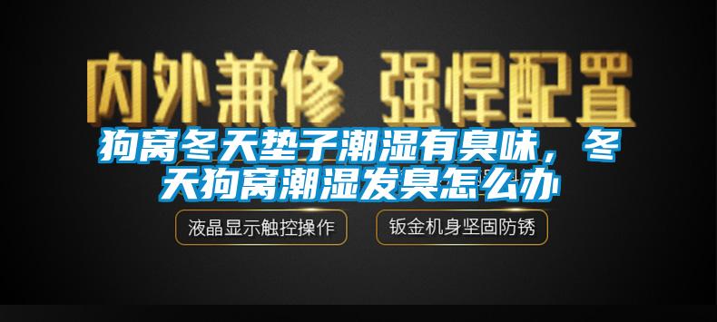狗窩冬天墊子潮濕有臭味，冬天狗窩潮濕發臭怎么辦