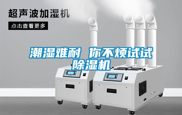 潮濕難耐 你不煩試試除濕機