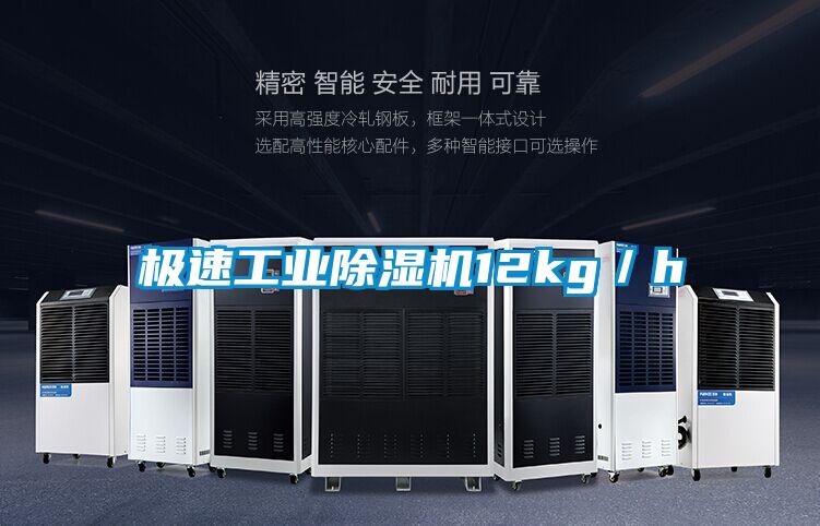 極速工業(yè)除濕機(jī)12kg／h