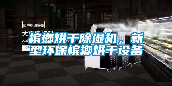 檳榔烘干除濕機，新型環保檳榔烘干設備