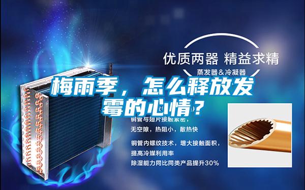 梅雨季，怎么釋放發(fā)霉的心情？