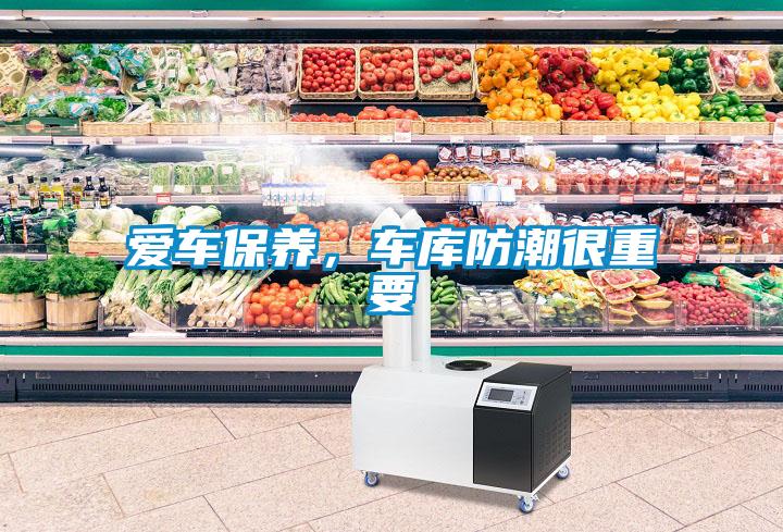 愛車保養，車庫防潮很重要