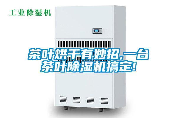 茶葉烘干有妙招,一臺茶葉除濕機搞定!