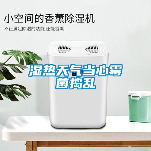 濕熱天氣當(dāng)心霉菌搗亂