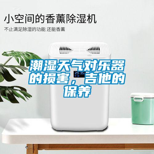 潮濕天氣對樂器的損害，吉他的保養