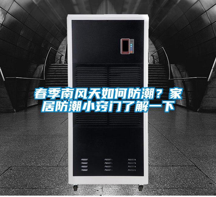 春季南風天如何防潮？家居防潮小竅門了解一下